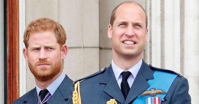 Prince William and Harry could reconcile after Royal fans spot 'olive branch' gesture