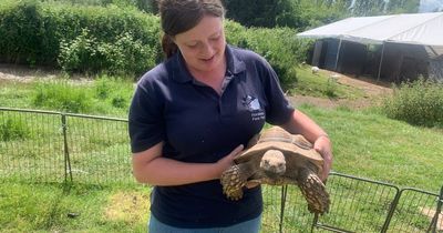 Behind the scenes at independent Nottinghamshire farm where 'no day is ever the same'