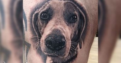 Dog lovers' tattoo event to raise money for charity