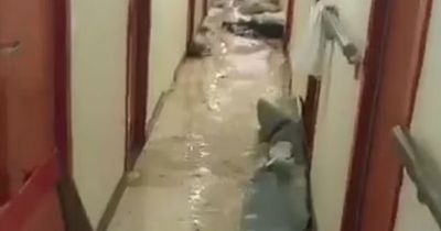 Passengers evacuated as cruise ship shakes violently and floods during 11 hour storm