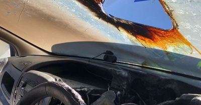 Drivers urged never to leave sunglasses in hot car as fire crew shares shocking image