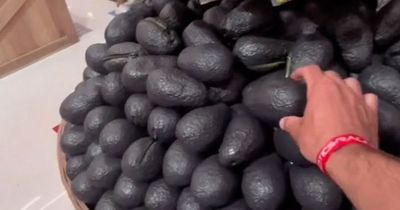 Inside the world's 'weirdest supermarket' with tattooed turkeys - but there's a catch