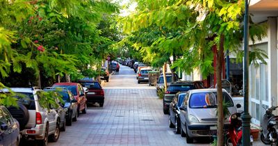 Drivers warned over £800 repair bill you can get for parking under a tree this summer