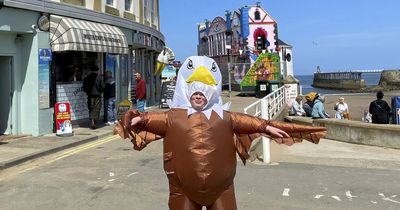 Seaside chippy worker earns £200 a day scaring off seagulls in an eagle outfit