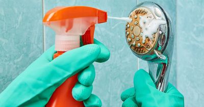 Cleaning expert's amazing natural cleaning spray hack that only costs 59p to make