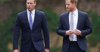 Prince Harry and William's secret meeting to 'shed light on their memories'