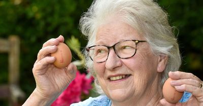 Baffled pensioner has no idea why shop bought eggs keep turning up buried in her garden