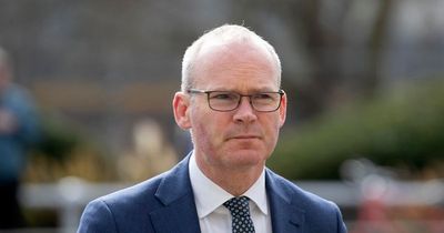 Adding three new bank holidays for Ireland would cost State eye-watering sum, Simon Coveney confirms