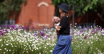 Greater Manchester's weather as Met Office says Tuesday will be UK's hottest day of year so far