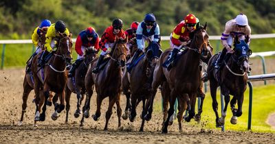 Newsboy’s horseracing tips for Tuesday’s five meetings, including Redcar Nap