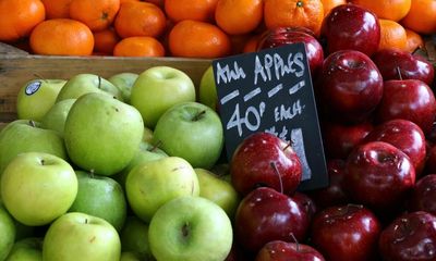 Tea, apples and berries could stave off age-related memory loss, study suggests