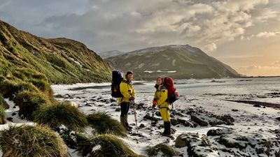 Nine years after official pest-free status, Macquarie Island is recovering but it's a 'long game'