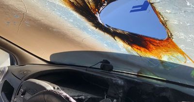 Drivers warned to never leave sunglasses in their cars