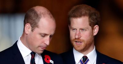 Prince Harry tells of secret code William used to communicate at royal funeral