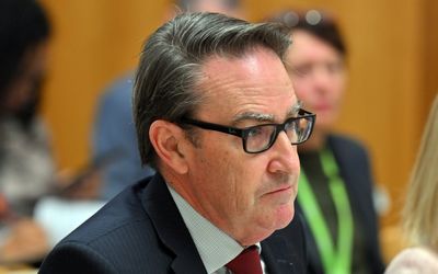 Treasury boss coy on future direction of PwC action