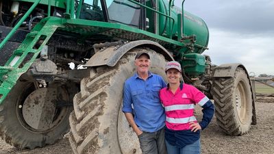 Farmer wants a worker: Husband-and-wife team put out job advert with a difference