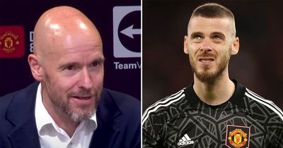 Erik ten Hag makes damning David de Gea statement which spells out Man Utd future