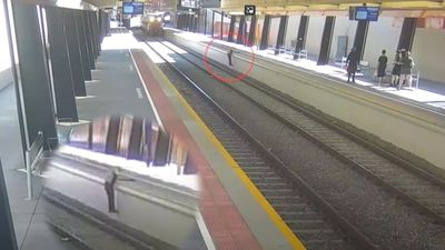 Pedestrians and cyclists captured narrowly avoiding being hit by trains across Adelaide