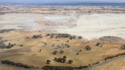 Cadia Gold Mine near Orange ordered to fix dust pollution after heavy metals found in locals' blood, water
