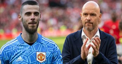 Man Utd news: David de Gea warning as new transfer theory emerges after Fulham game