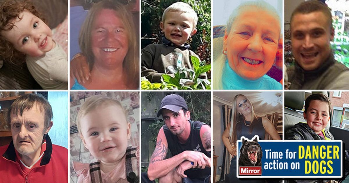 15 Brits killed by dogs since Jack Lis, 10, died and…