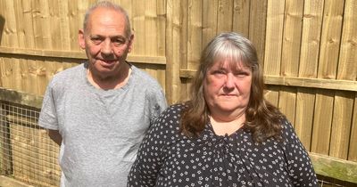 Woman brought to tears as neighbour's new fence makes her feel like she's 'living in prison'