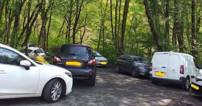 Loch Lomond day trippers warned 'visit somewhere else if car parks are full'