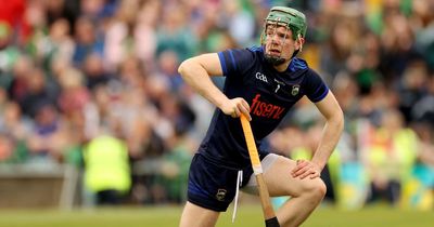 Tipperary goalkeeper's hurley stolen as he signed autographs for fans