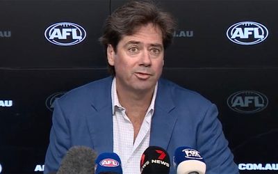 No adverse findings made in Hawthorn racism case as AFL ends investigation