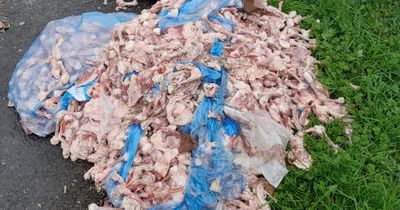 Farmers find raw chicken thighs and legs dumped at the side of a road - as culprits found and fined