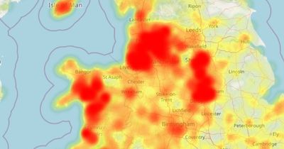Japanese knotweed MAPPED - Britain's six worst 'hotspots' where invasive plant is rampant