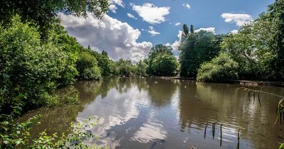 Gang of youths fall in lake while attacking man with bike seat