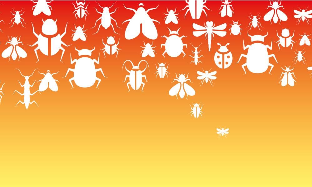 Why the climate crisis is making our insects run for…