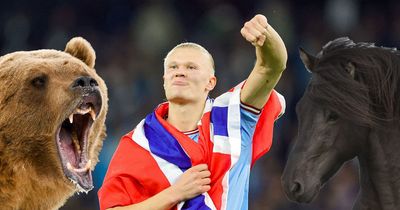 Erling Haaland likened to horse and bear before nine-goal game and matching Lionel Messi