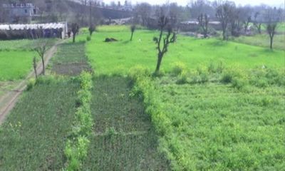 J-K: Small, marginalized farmers script new chapter in agri-economy