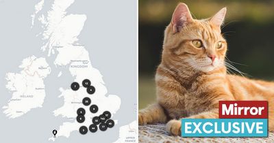 UK cat killings MAPPED as more than 1,000 animals found mutilated - check in your area