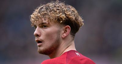 Harvey Elliott issues Liverpool rallying cry after Champions League and Premier League slump