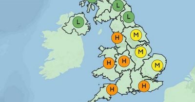 Hay fever warning as pollen bomb blankets UK - check map to see your risk of symptoms now