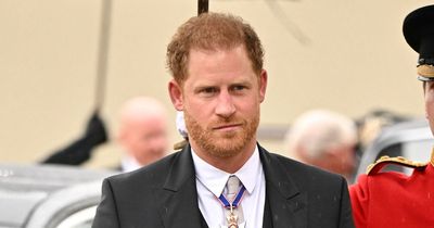 Prince Harry once feared royals would become 'just celebrities' in unearthed interview