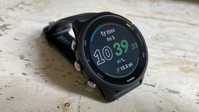 Garmin Forerunner 255 review - no-frills smartwatch with premium functionality