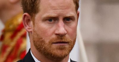 Prince Harry said 'no one' in the Royal Family 'wants to be King' in revealing chat