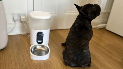 My dog hated this HomeKit smart pet feeder, but this is why yours will love it