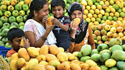 Annual mango mela in Lalbagh from June 2 to June 11