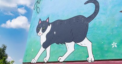 Batman the 'Chorlton tram cat' immortalised in stunning mural