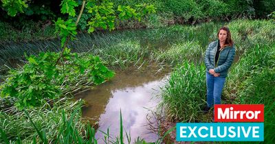 Experts toxic timebomb warning over levels of 'forever chemicals' in Britain's rivers