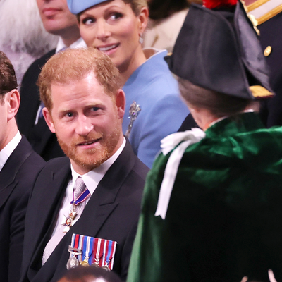 Why Princess Anne chatted with Prince Harry at the Coronation, despite being "furious" with him: royal expert