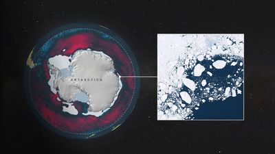 Antarctic sea ice hits another record low: Natural fluctuation or sign of climate change?