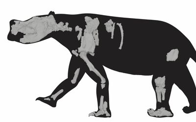 Ancient ‘wanderer’ megafauna named for unusual talent