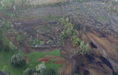 Companies taken to court over wetland clearance
