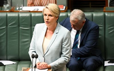 Environment department has PwC contracts: Plibersek